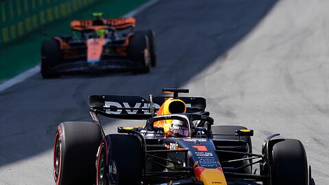 Holte sich beim Großen Preis von Brasilien den Sieg: Max Verstappen.