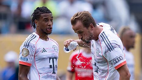 Sollen noch lange zusammen f&uuml;r den FC Bayern wirbeln: Olise und Kane. (Archivbild)