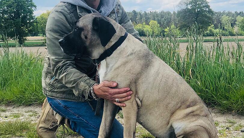 Jochen Bendel sagt, dass Hunde in ihrem Verhalten ein Abbild ihres Menschen sind. Jochen Bendel sagt, dass Hunde in ihrem Verhalten ein Abbild ihres Menschen sind.