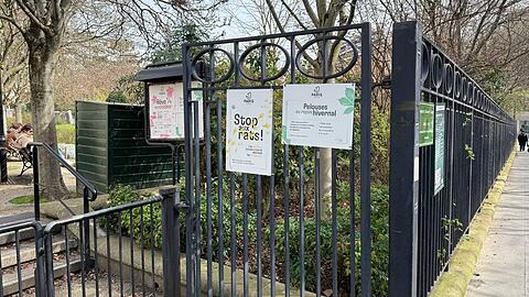 Parkanlagen, unterirdische Sch&auml;chte und die Kanalisation sind bevorzugte Lebensr&auml;ume der Pariser Ratten.