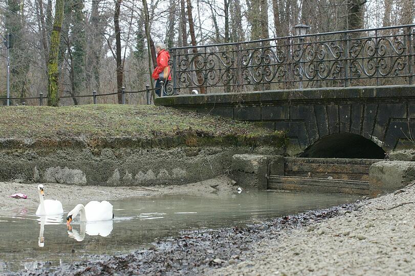 Modrig und schlammig: Beim Kleinhesseloher See wurde Wasser abgelassen, damit ein Bootssteg erneuert werden kann. Den Münchnern stinkt's gewaltig - am schönen Frühlingswochenende gab's hier kein Frischlufterlebnis.