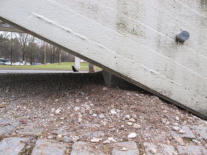 Neuperlach: Jemand füttert unter einer Fußgängerbrücke regelmäßig Tauben. AZ-Leser Djordje Matkovic hat sie fotografiert - und die Folgen.