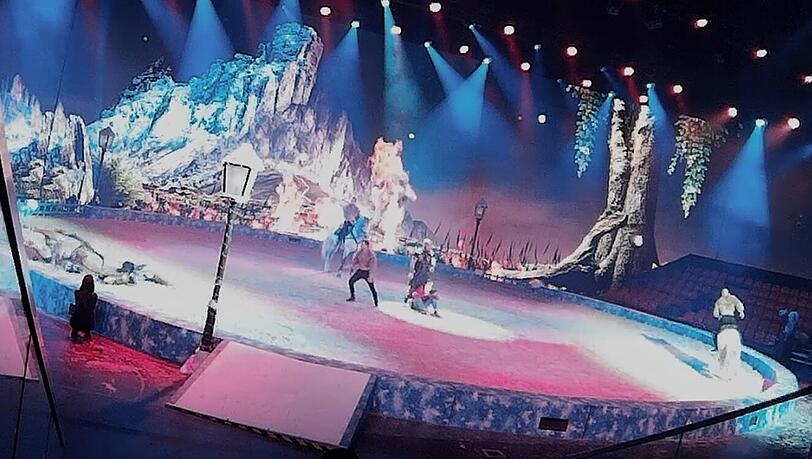 Ein Pferd ist w&auml;hrend der Cavalluna-Show gest&uuml;rzt.