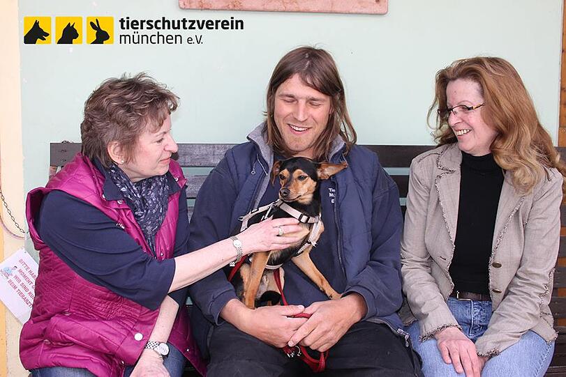 ..., doch jetzt ist der kleine Hund wieder wohlbehalten zurück im Tierheim. Tierheim Vorstand Karola Runge, Pfleger Mario Fischer und Eveline Kosenbach von der Vermisstenstelle im Tierheim freuen sich.