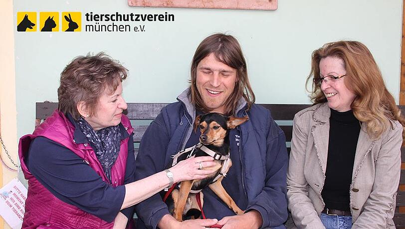..., doch jetzt ist der kleine Hund wieder wohlbehalten zurück im Tierheim. Tierheim Vorstand Karola Runge, Pfleger Mario Fischer und Eveline Kosenbach von der Vermisstenstelle im Tierheim freuen sich.