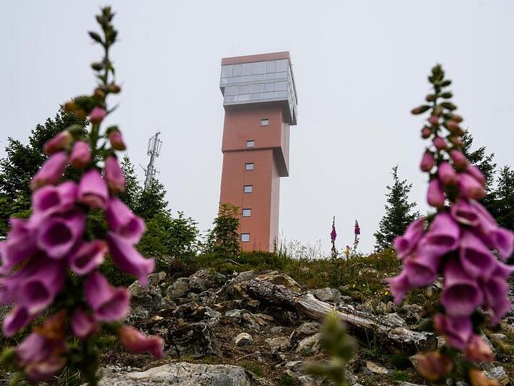 Der neue Wurmberg Turm bei Braunlage soll Mitte August offiziell eröffnet werden.