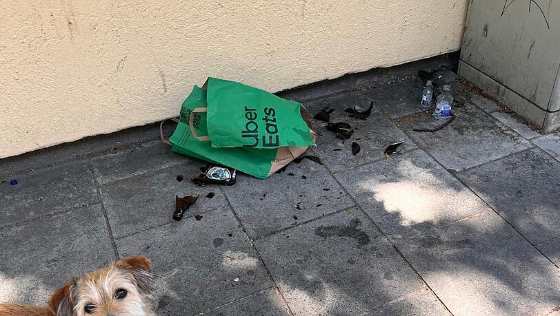Bierflaschenscherben – gefährlich, nicht nur für diesen Hund. Hätte das Müllschweinderl auch selber wegräumen können.