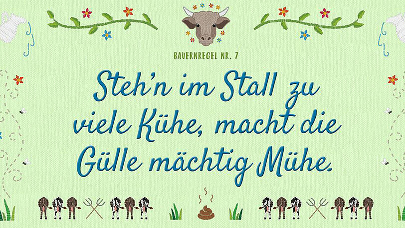 Streit um die "neuen Bauernregeln" von Umweltministerin Hendricks.