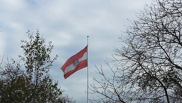Die Austria-Flagge im Kleingartenverein. Foto: Strasser Die Austria-Flagge im Kleingartenverein. Foto: Strasser