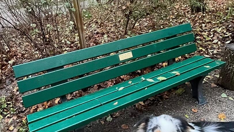 Hund Buddy vor der &bdquo;Krug-Bank&ldquo;- im Englischen Garten.