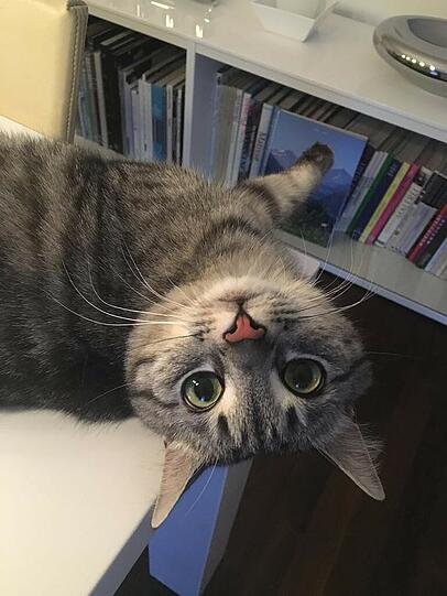 Jinxy