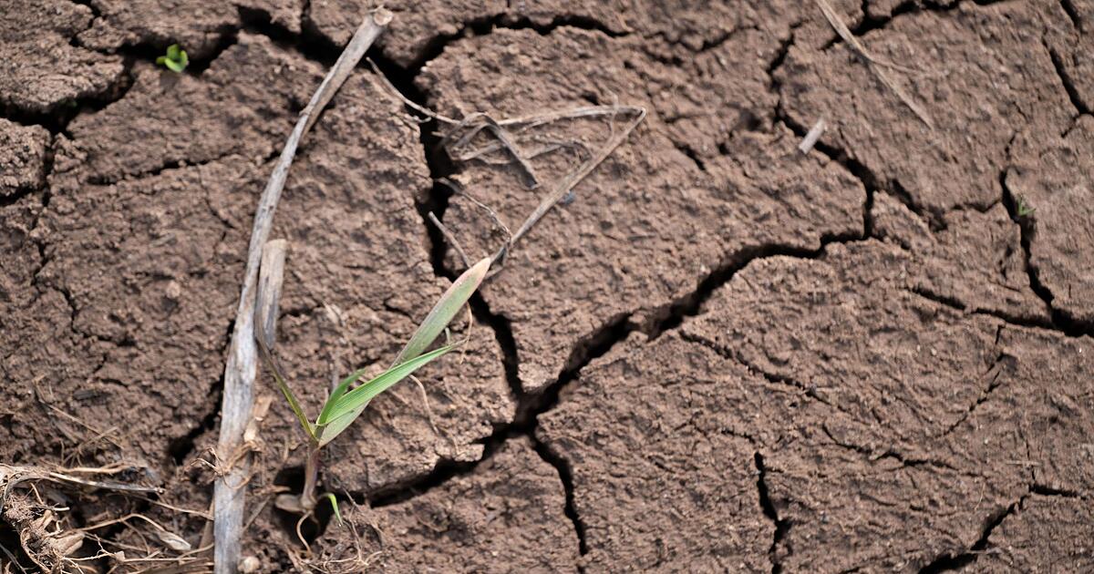 Amt-2025-war-das-f-nfzehnte-zu-warme-Jahr-in-Folge