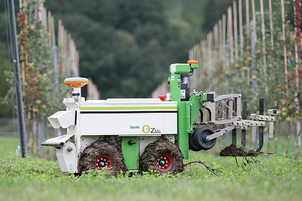 Ganz ohne Einsatz von Pestiziden: Ein Unkrautroboter kann erkennen, welche Pflanzen er entfernen muss. Ganz ohne Einsatz von Pestiziden: Ein Unkrautroboter kann erkennen, welche Pflanzen er entfernen muss.