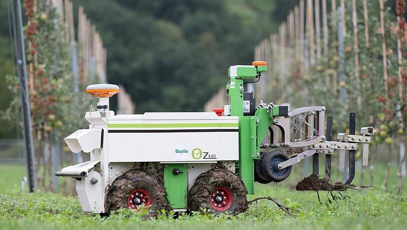 Ganz ohne Einsatz von Pestiziden: Ein Unkrautroboter kann erkennen, welche Pflanzen er entfernen muss.