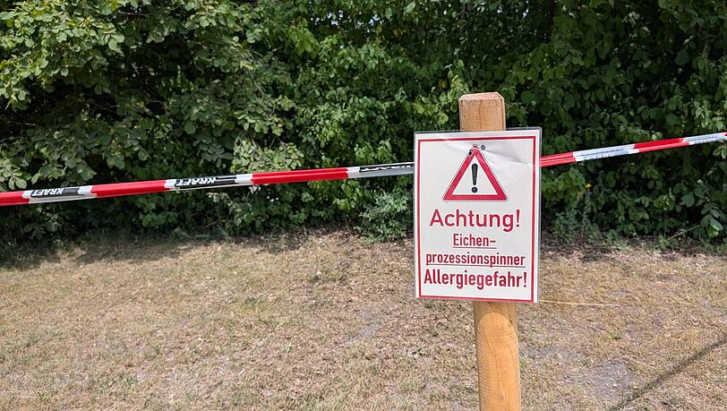Warnungen auch am Langwieder See: Die f&uuml;r Menschen giftigen Raupen des Eichenprozessionsspinners haben wieder zahlreiche B&auml;ume in Bayern befallen.
