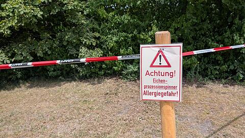 Warnungen auch am Langwieder See: Die f&uuml;r Menschen giftigen Raupen des Eichenprozessionsspinners haben wieder zahlreiche B&auml;ume in Bayern befallen.