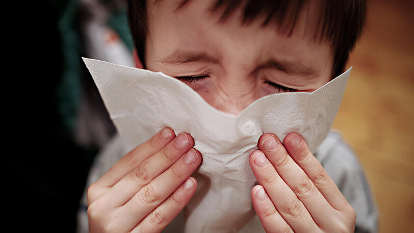 Aktuell geht das Influenza-Virus in Bayern um.