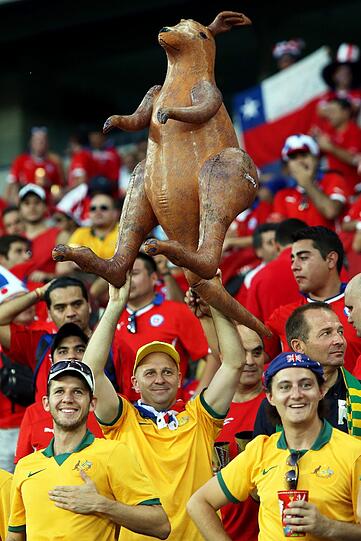Die Fans der Fußball-WM 2014