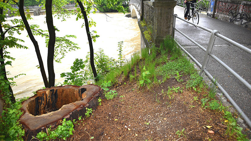 Langsam sinkt der Isar-Pegel wieder ab.