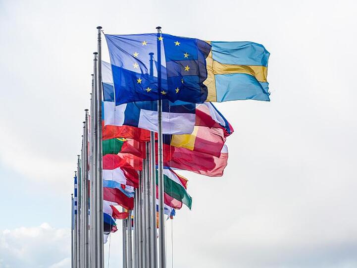 Vor dem Gebäude des Europäischen Parlaments in Straßburg wehen die Flaggen der EU-Mitgliedsstaaten.