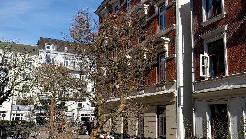 Mietshäuser im Stadtteil Eppendorf in Hamburg. Die Reformpläne der Grundsteuer sorgen für große Unruhe bei sozialen Vermietern. Mietshäuser im Stadtteil Eppendorf in Hamburg. Die Reformpläne der Grundsteuer sorgen für große Unruhe bei sozialen Vermietern.