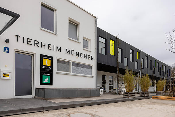 Das Tierheim München muss sich heftiger Kritik eines Münchners stellen. Das Tierheim München muss sich heftiger Kritik eines Münchners stellen.