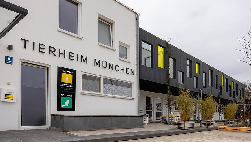 Das Tierheim M&uuml;nchen muss sich heftiger Kritik eines M&uuml;nchners stellen.