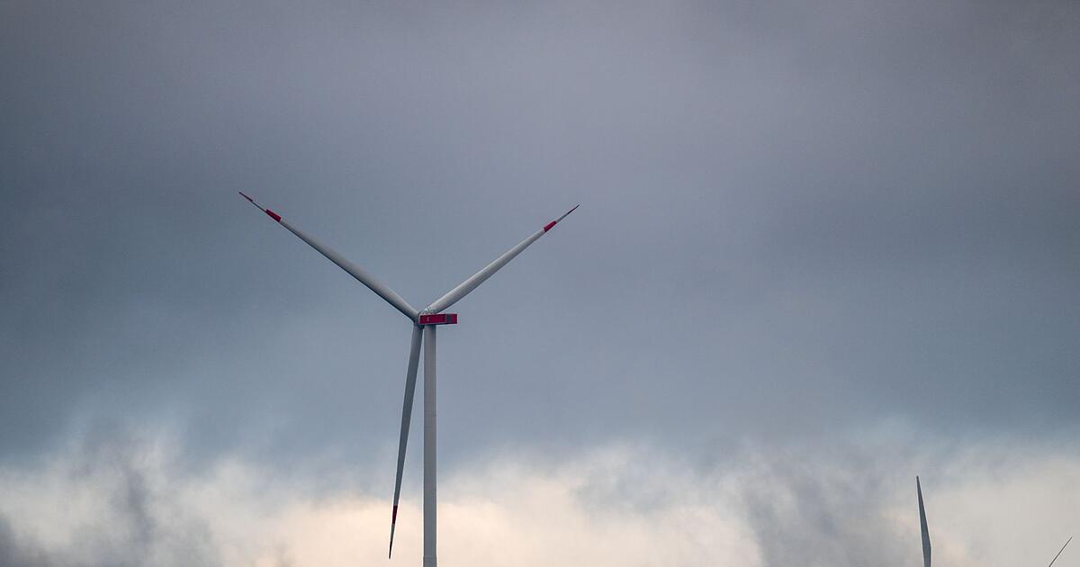 Winter-ad-Nieselregen-zum-Start-ins-Wochenende