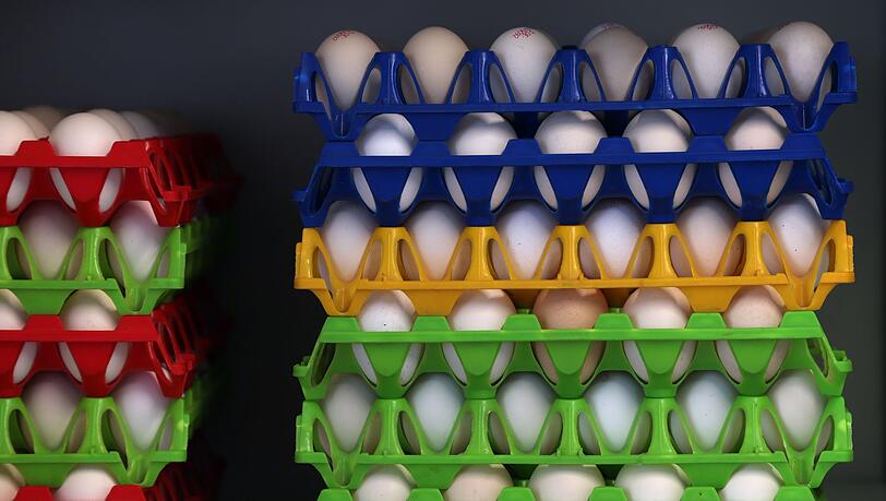 In Bayern gibt es eine gro&szlig;e Nachfrage nach Bio-Eiern. (Symbolbild)