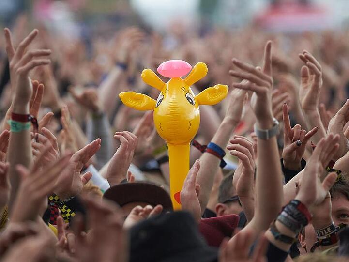 Eine Giraffe rockt am Ring.