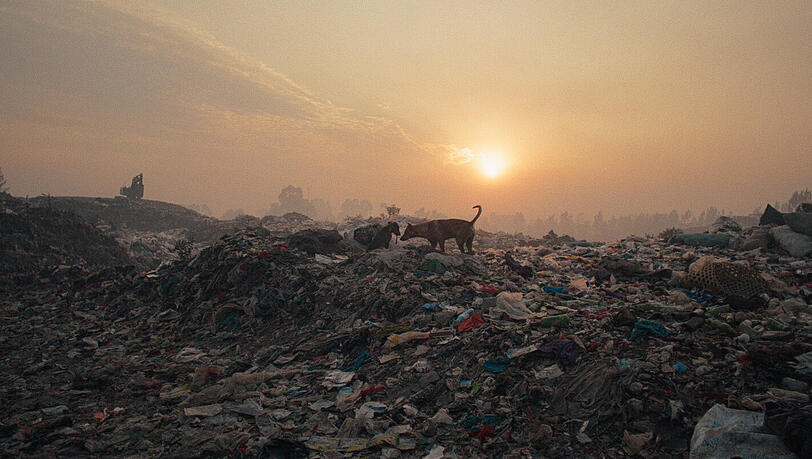 Plastic Fantastic (Regie: Isa Willinger)