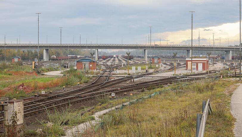 Die Gleisharfe auf dem Rangierbahnhof. Hier hat sich eine besondere Flora entwickelt. Es gibt sogar mediterrane Pflanzen.
