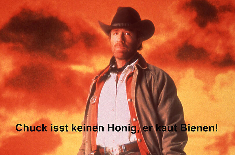 Die besten Chuck-Norris-Witze zum Durchklicken.