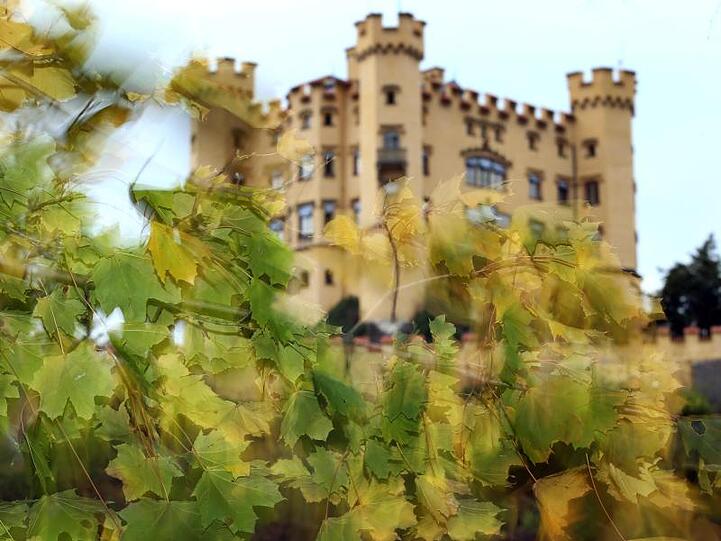 Hinter sich im Wind bewegenden Herbstblättern steht das Schloss Hohenschwangau bei Schwangau. Foto: picture alliance / Karl-Josef Hildenbrand/dpa/Archivbild
