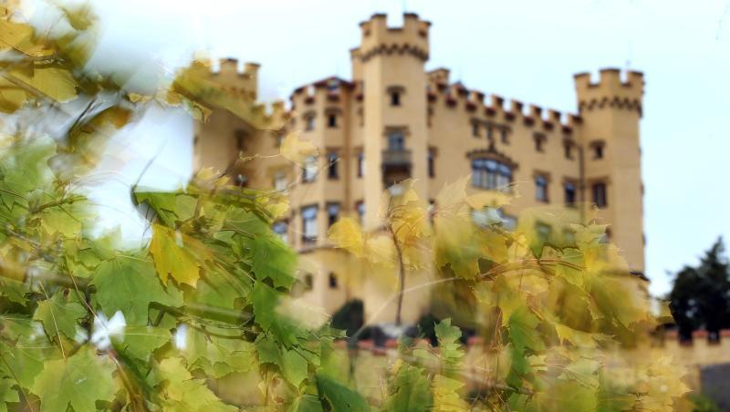 Hinter sich im Wind bewegenden Herbstblättern steht das Schloss Hohenschwangau bei Schwangau. Foto: picture alliance / Karl-Josef Hildenbrand/dpa/Archivbild Hinter sich im Wind bewegenden Herbstblättern steht das Schloss Hohenschwangau bei Schwangau. Foto: picture alliance / Karl-Josef Hildenbrand/dpa/Archivbild