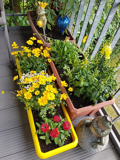 "Wie gewünscht, hier ein Bild von unserem neuen Blumenkasten. Hoffentlich haben die Bienen genauso viel Freude daran wie ich!"