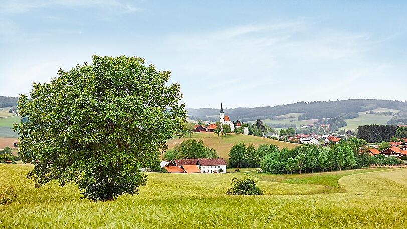 Bekannt für seine Streuobstwiesen: Stubenberg in Niederbayern