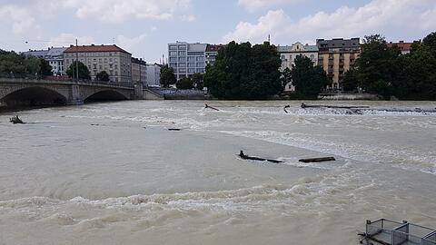 Massig Wasser und reichlich Treibgut: Die Isar am Dienstag an der Reichenbachbrücke.