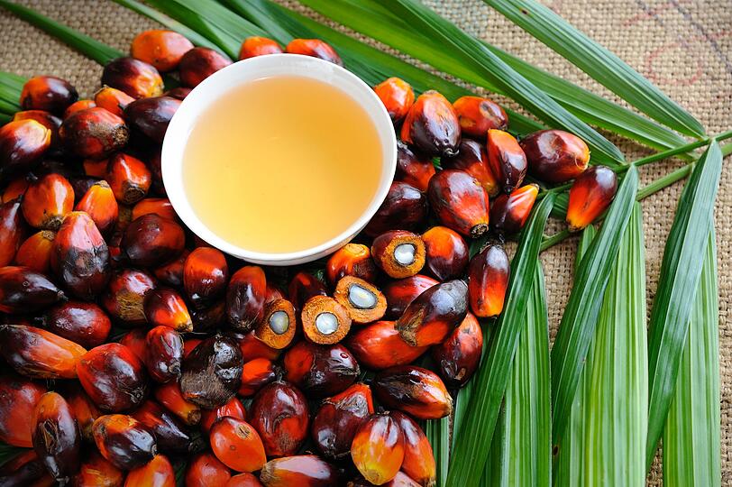 Neben Kokosöl weist auch Palmöl einen hohen Anteil an gesättigten Fettsäuren auf. Auch Sonnenblumenöl sollte nur in Maßen konsumiert werden, denn es enthält rund 120-mal mehr Omega-6-Fettsäuren als Omega-3-Fettsäuren. Die bessere Wahl sind pflanzliche Öle mit vielen ungesättigten Fettsäuren wie etwa Raps- oder Olivenöl, Leinöl ist ein guter Omega-3-Lieferant. Neben Kokosöl weist auch Palmöl einen hohen Anteil an gesättigten Fettsäuren auf. Auch Sonnenblumenöl sollte nur in Maßen konsumiert werden, denn es enthält rund 120-mal mehr Omega-6-Fettsäuren als Omega-3-Fettsäuren. Die bessere Wahl sind pflanzliche Öle mit vielen ungesättigten Fettsäuren wie etwa Raps- oder Olivenöl, Leinöl ist ein guter Omega-3-Lieferant.