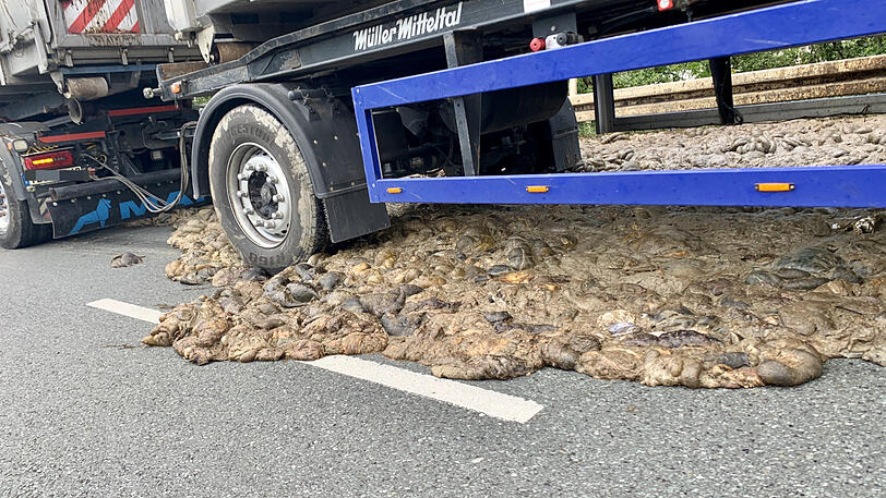 Die Tierkadaver landeten auf der Bundesstraße.
