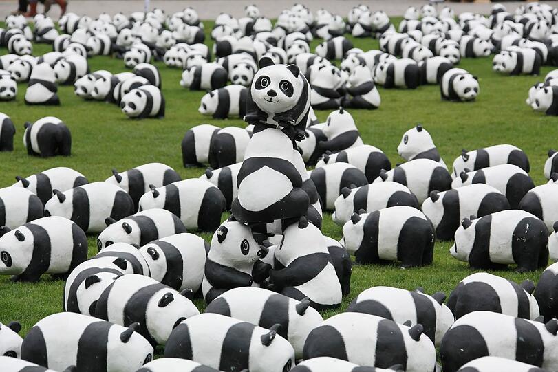 WWF Deutschland feiert 50-jähriges Bestehen: Die Panda-Skulpturen am Marienhof