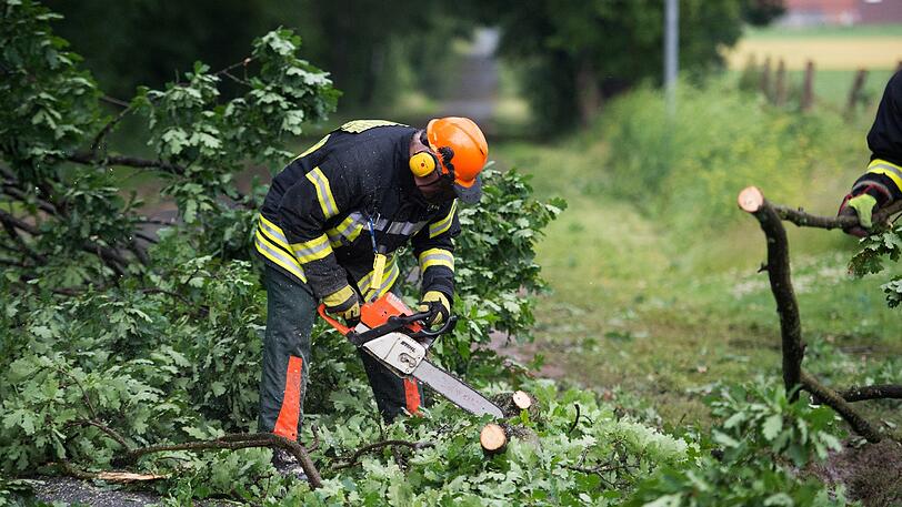Ein Feuerwehrmann zersägt in Ebstorf einen nach einem Unwetter umgestürzten Baum.