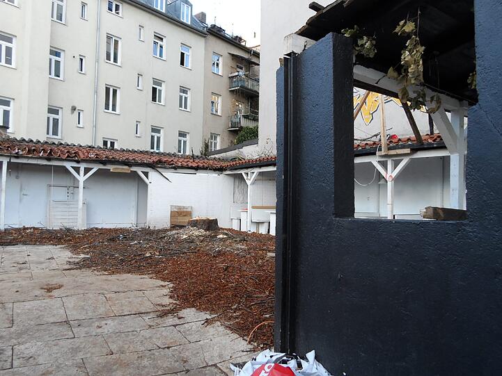 ... von den Kastanien in dem ehemaligen Biergarten ist nicht mehr viel zu sehen...
