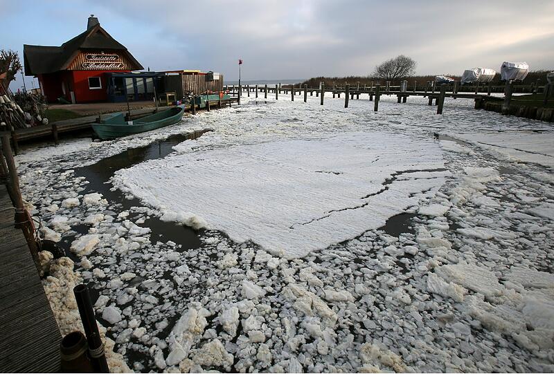 Im Boddenhafen des Ostseebades Dierhagen (Mecklenburg-Vorpommern) hat sich eine erste Eisschicht gebildet.