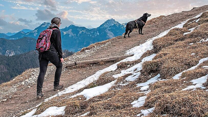 Eine Wanderung mit Hund bringt viele Vorteile mit sich. Aber Achtung: Mancherorts gibt es eine Leinenpflicht.