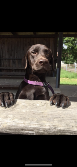 Carla