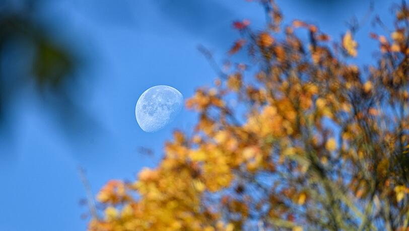 Der Oktober war der achte Monat in Folge, der sonniger war als im Mittel. Der Oktober war der achte Monat in Folge, der sonniger war als im Mittel.