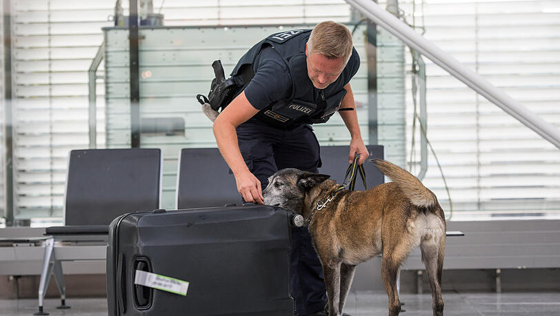 Immer wieder kontrollieren Bundespolizisten am Flughafen herrenlose Gepäckstücke. (Symbolbild)