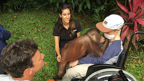 Benni wird neugierig von einem kleinen Orang-Utan beschnuppert.