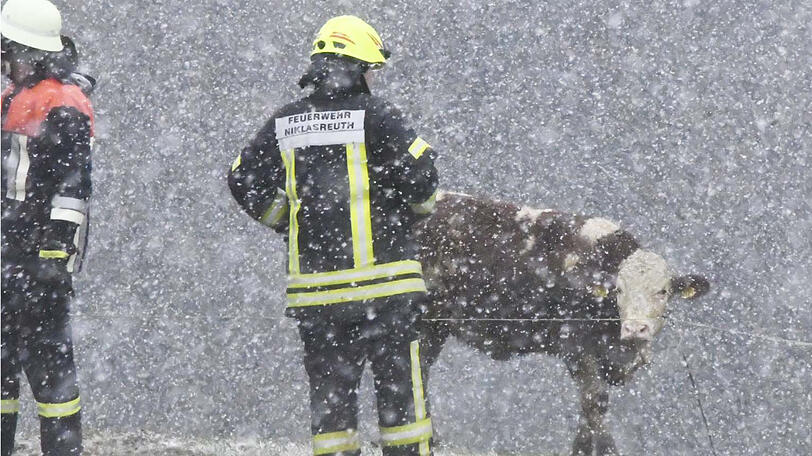 Bilder vom Feuerwehreinsatz in Irschenberg.